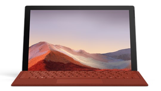 泰顺清洁和维护 Surface